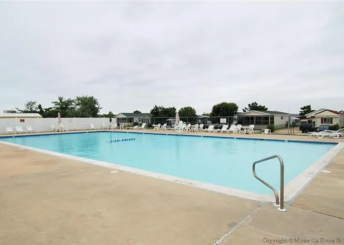 Bayside Oasis